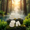 10 Pieces White Natural Loofah Discs Soap Making Loofah Scrub