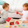 Siairo Montessori Toy for Toddlers, Coin and Ball, 2-in-1 Drop