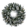 Papyrus 24" Pre-Lit Frosted Blue Spruce Artificial Wreath, Warm White