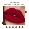 Set 6 Labiales Líquidos Lipstick Set