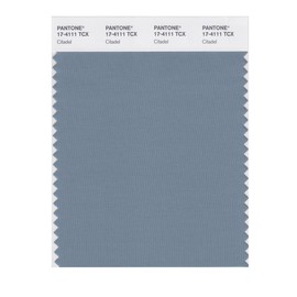 PANTONE Smart 17-4111X Color Swatch Card, Citadel