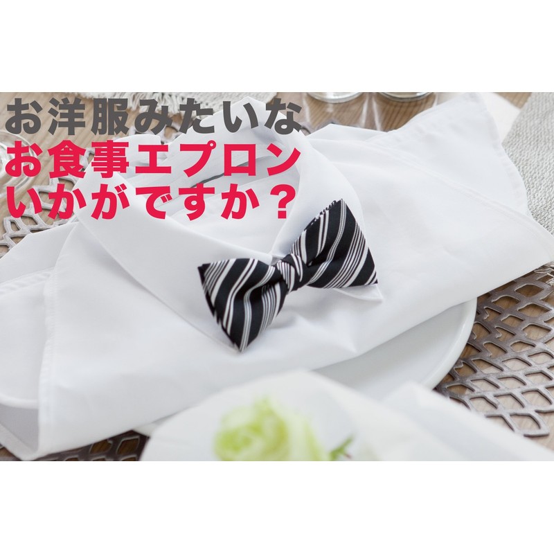 Exhilarating Shirt Apron Con