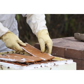 Global Patties 4% Pollen Patties for Bees | 10 lb | Quantity Options | 4% Protein Pollen Patty Food Supplement for Honey Bees