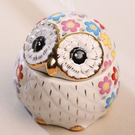 Hyever Owl Incense Holder Gold-Plated Owl Gifts Colorful Owl Jewelry Box Ceramic Owl Incense Burners Home Decoration, Suitable for Wedding, Iiving Room, Bedroom,Study, Bathroom, Yoga Room (Colorful)