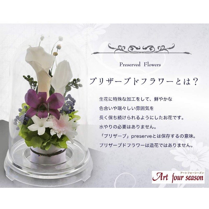 Art Four Seasons ● 2 Color vs. Design SET Grape