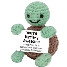 PIGPIGFLY Hand-Knitted Turtle with Lucky Coin - Stress Relief Office Companion, Good Luck Gifts for Women Colleagues,Exam Gifts,Pocket Hug