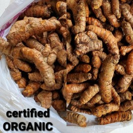 Fresh turmeric roots Certified Organic Turmeric Roots 8oz. for Arthritis Pain, Boost Immune System