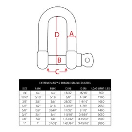 Extreme Max 3006.8243.2 BoatTector Stainless Steel D Shackle - 3/8", 2-Pack