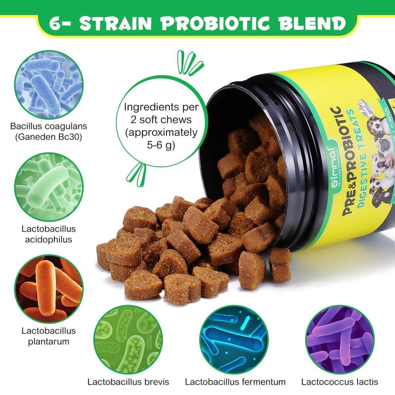 Probiotics for Dogs - Digestive Health and Immune Support, Dog