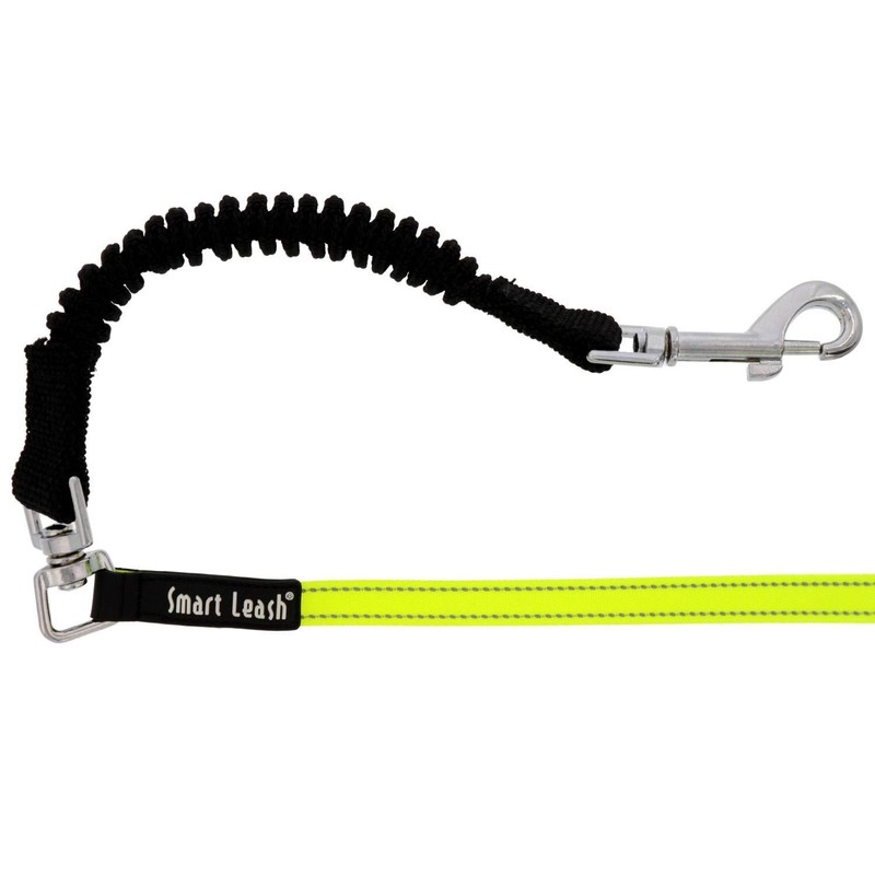 SmartLeash, Medium, Blue