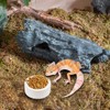 3 Pack Small Reptile Feeding Bowl Ceramic Food and Water