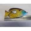 Unbranded 1 New 3-1/2" Sunfish Topwater Fishing Lure *S5*