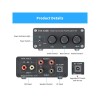 Fosi Audio TB10D Hi-Fi Integrated Amplifier 300W x 2