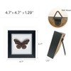 ITrixgan Taxidermy Butterfly, Framed Butterfly Specimen, Real Butterfly Display Insect