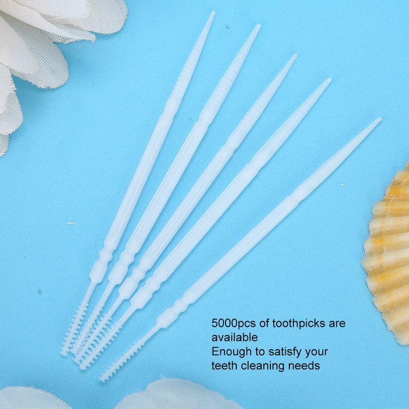 5000pcs Disposable Double Head Toothpick Tartar Removal Teeth Cleaning Toothpicks