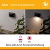 Paulmann 94233 Solar Path Light LED Outdoor Light Including 1