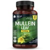 Mullein Leaf Extract for Lungs 15,000mg – High Strength 50:1