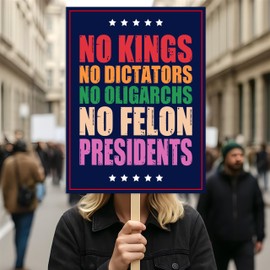 No Kings In America Protest Sign, Anti-Trump Resistance, Political Activist Poster, Rally Sign, Resist Fascism Protest Poster
