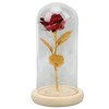 Rose in Glass Dome Lucky Beautiful Symbolism Romantic Enchanted Rose