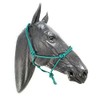 ARBO-INOX Knot Halter Simple without Lead Rope Special Offer (COB
