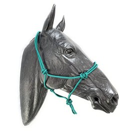 ARBO-INOX Knot Halter Simple without Lead Rope Special Offer (COB Full Blood, Green)