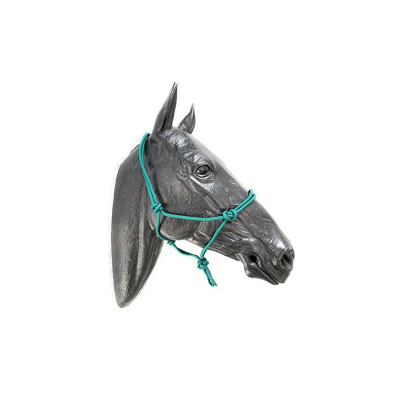 ARBO-INOX Knot Halter Simple without Lead Rope Special Offer (COB