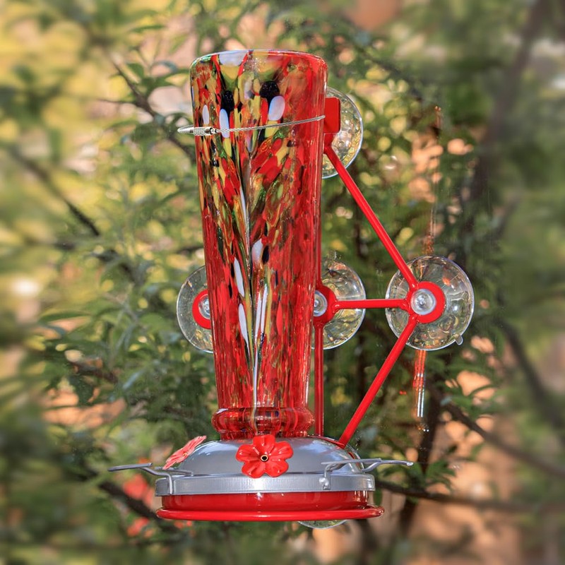Window Hummingbird Feeder with 5 Strong Suction Cup 16 Ounces