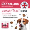 Bugalugs Urinary Tract Dog Chews helps stop dogs urinating in