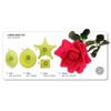 JEM Rose Leaf Fondant Cutters, Large Size, Set of 4