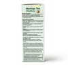 SALUTARI Moringa Tea – Premium Moringa Tea Bags – Flavorful