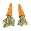 20pcs Carrot Shaped Hamster Toy Teeth Grinding Decorative Crude Fiber