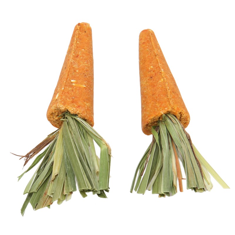 20pcs Carrot Shaped Hamster Toy Teeth Grinding Decorative Crude Fiber