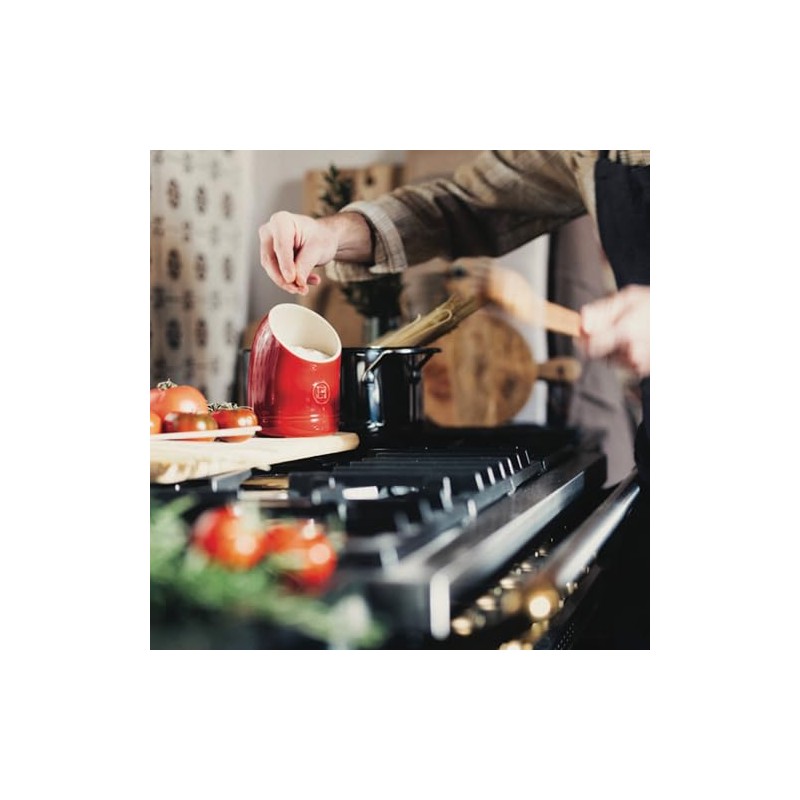 Emile Henry Made In France The Salt Pig| Burgundy