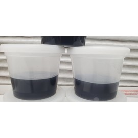 Forest Organics Orchid Seed Sowing Medium Plant Media Culturing Gel Cups Pre-Sterilized Ready to Use Product (12)