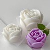 2 Pack Tulip Flower Peony Rose Succulent Cylinder Candle &