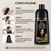Shampoo Tinte Instantáneo Cubre Canas Natural Jengibre 500ml