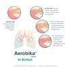 Aerobika OPEP Natural Phlegm and Mucus Clearance Device - Lung