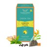 TeaNOURISH Lemon Tulsi Green Tea | 20 Count Pyramid Tea