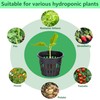 Rockwool Grow Cubes Set for Hydroponics - 21Ps Stonewool Starter