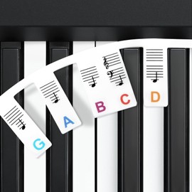 Piano Keyboard Stickers for Beginners and Kids,88/61 Key Full Size Removable Piano Keyboard Note Labels,Silicone Piano Key Stickers for Learning, Reusable Comes with Box (Rainbow Colours)