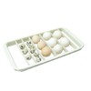 R-Com RCOM Universal Egg Tray for Max Pro or USB