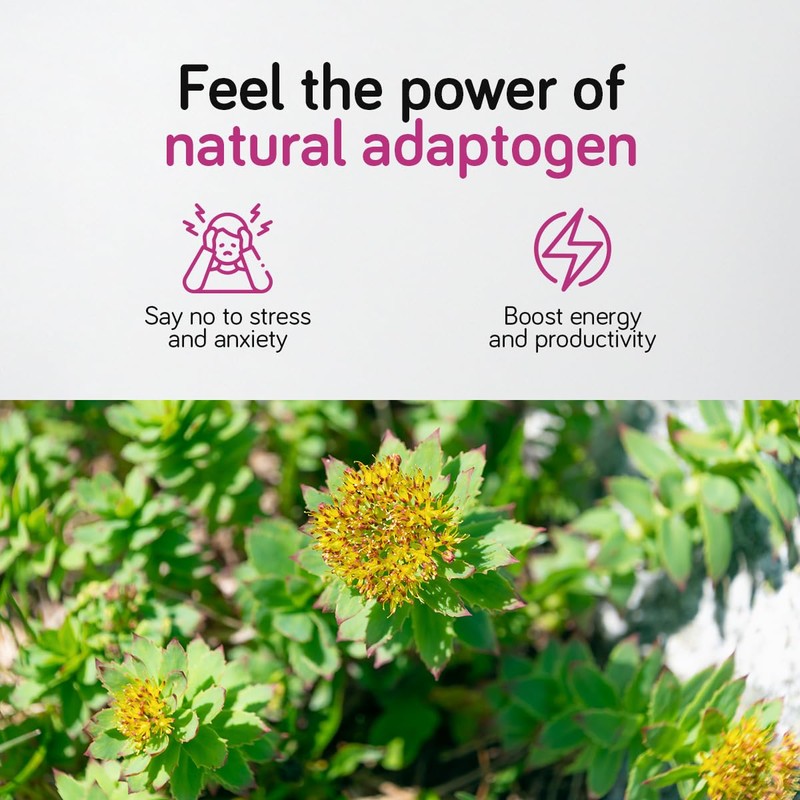 Ambervit Rhodiola Rosea Capsules High Strength 500mg - 120 Capsules