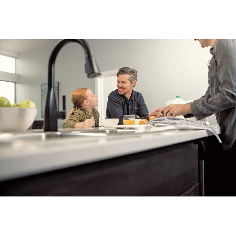 Peerless P7919LF-BL Single-Handle Kitchen Faucet Pull-Down, Matte Black