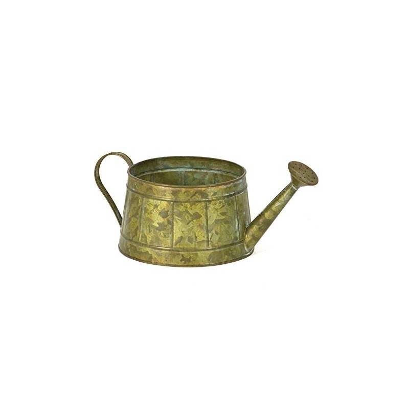 Skalny Verdigris - Regadera Redonda (4,75 x 4 Pulgadas), Verdis,