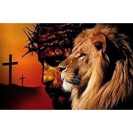 HONGJIE 5D DIY Diamond Painting by Number Kits Lion Jesus Cross 16X20 Inch for Adults and Kids, Round Full Drill Rhinestone Stitch Mosaic Art Home Wall Decoration Gift Option., Multicolor