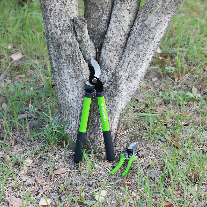 WORKPRO W151010 Limb and Branch Pruner Tool Set, Heat-Treated Steel