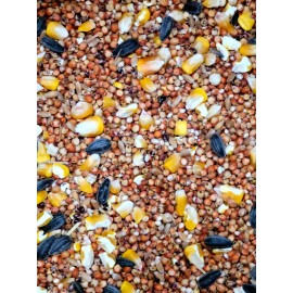 Wisconsin 5 Grain Parrot Hamster Mouse Wild Bird Rabbit Hamster Food Seed w / OMEGA 3 & 6  - 5  Pound