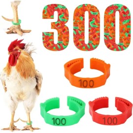 300 Bandas Identificación De Pollo Ajustables Con Numerados