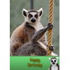 Lemur Birthday Card