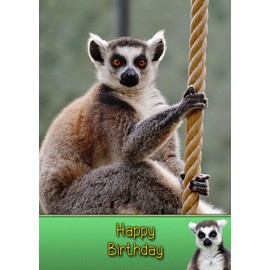 Lemur Birthday Card